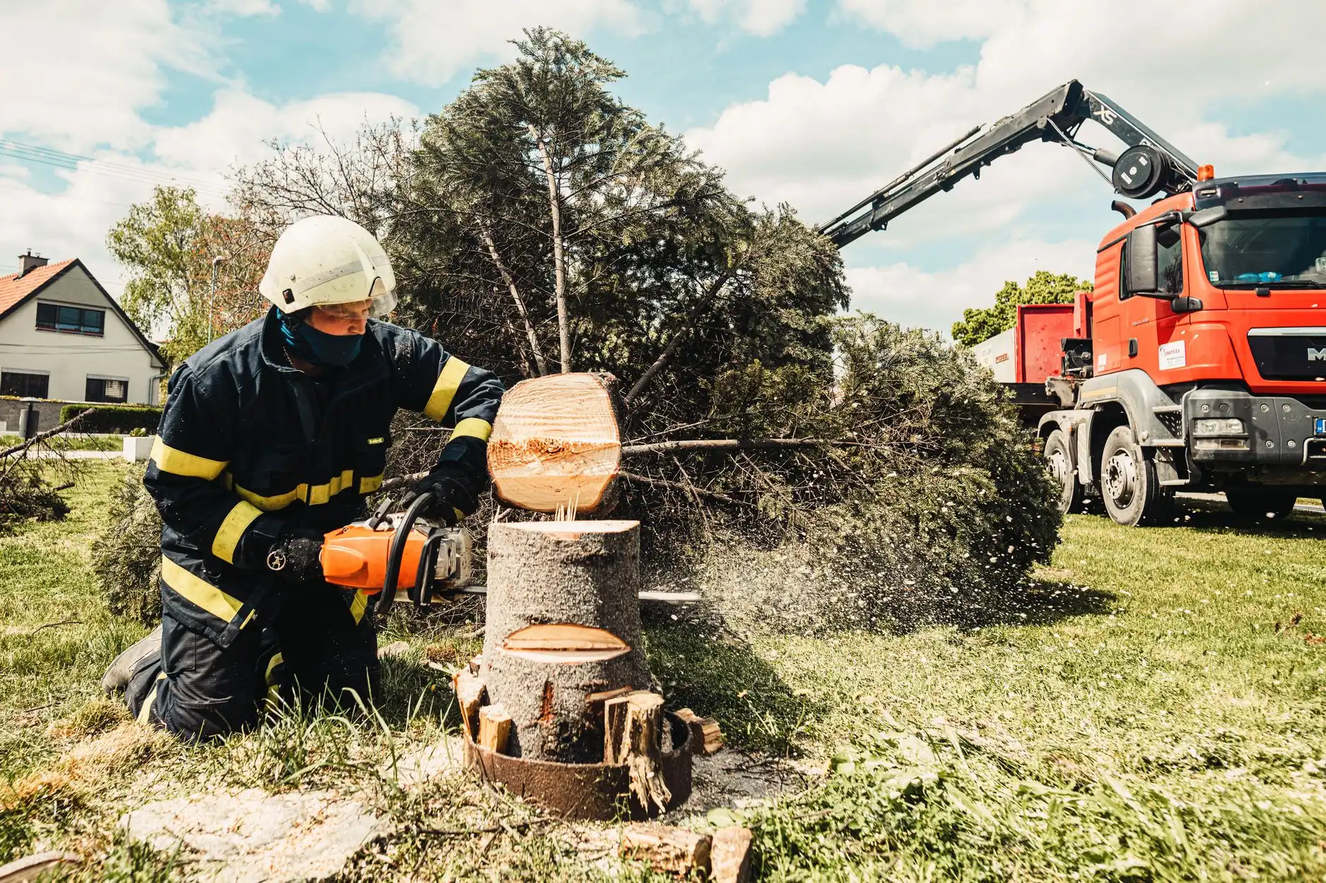 Chainsaw cutting through a trunk section, wood chips flying